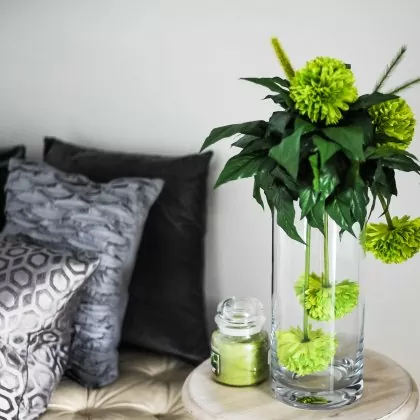 المنزل والمعيشة