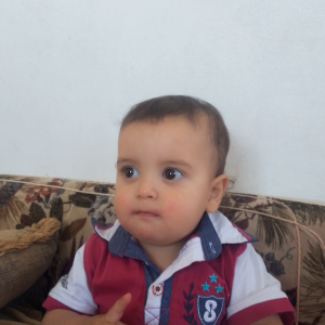 ابو موسى